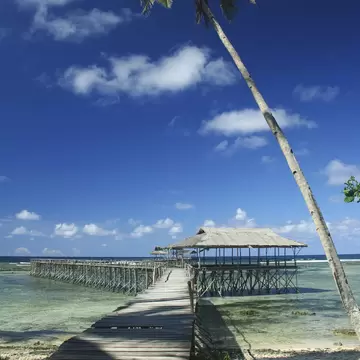 Long wooden boardwalk leading to a thatched pavilion on stilts over clear shallow water, with a tall palm leaning overhead.
