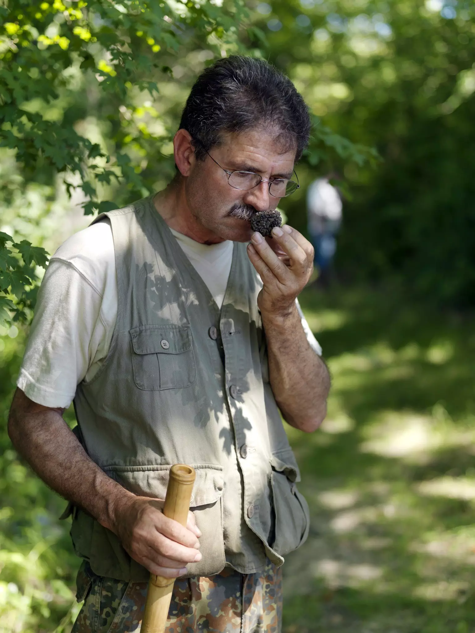 Tartufi (truffle) hunting is done in the countryside in the Umbrian Region outside of city of Gubbio. Umbria’s forests are fertile ground for producing prolific amounts of truffles year round © Getty Images