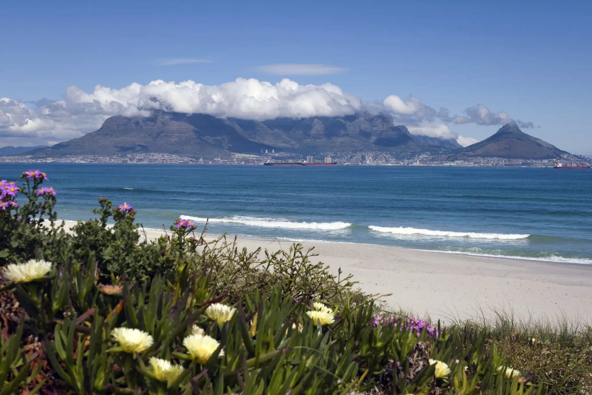 Beach with mountains in the distance and purple and pale yellow flowers in the foreground. Clouds hang low over the mountains