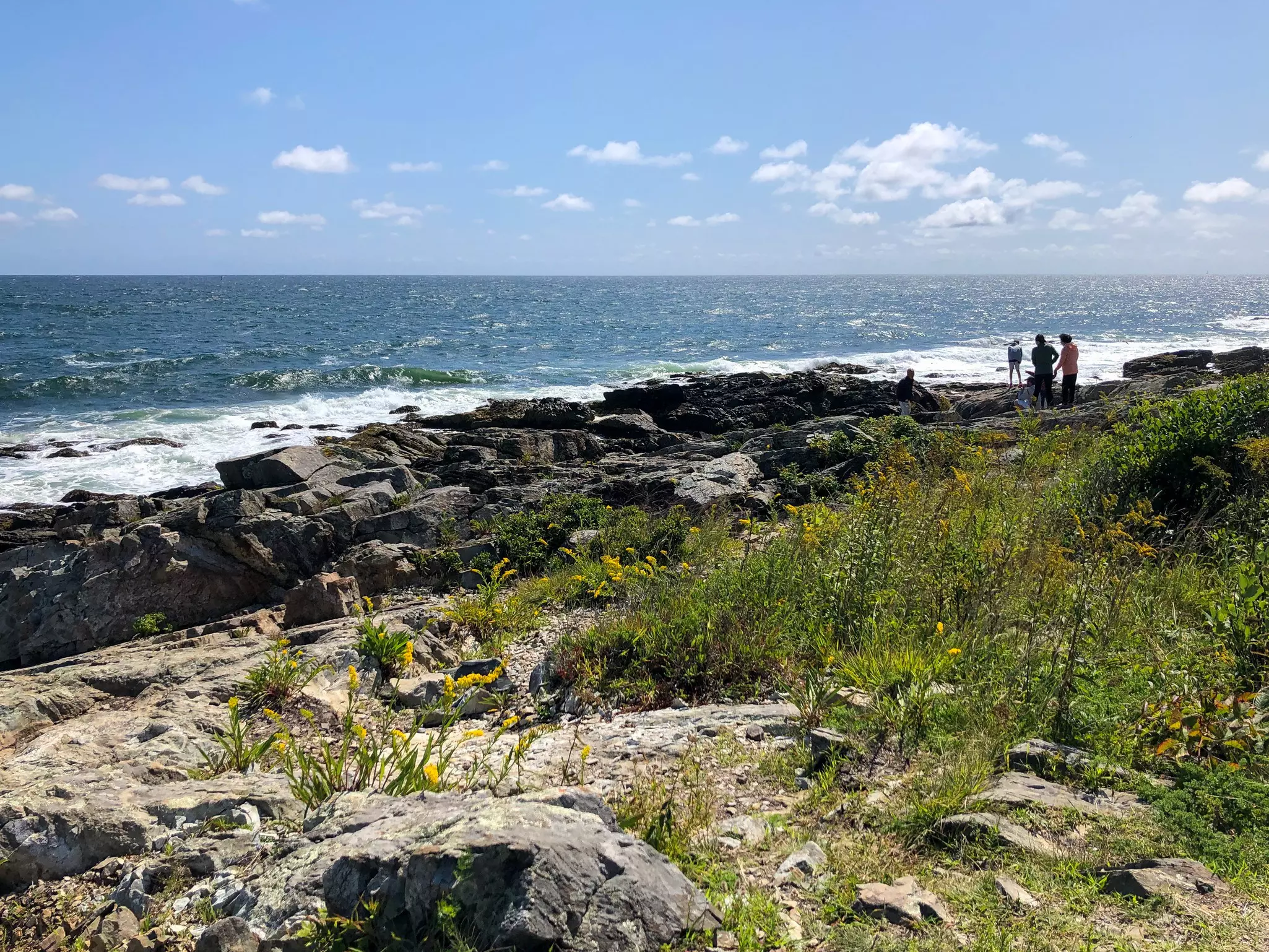 The grass, flowers, rocks and water along Marginal Way