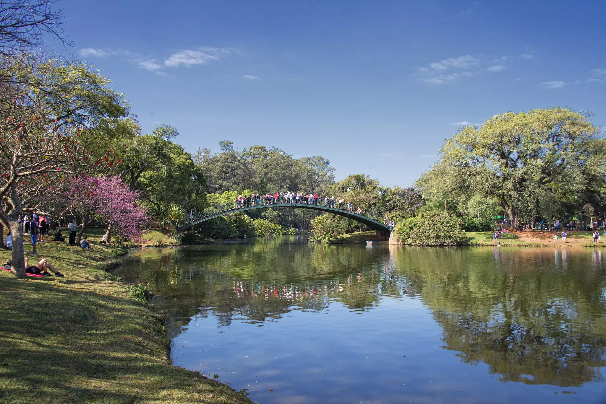 People gathered on a bridge over a lake on a sunny day.