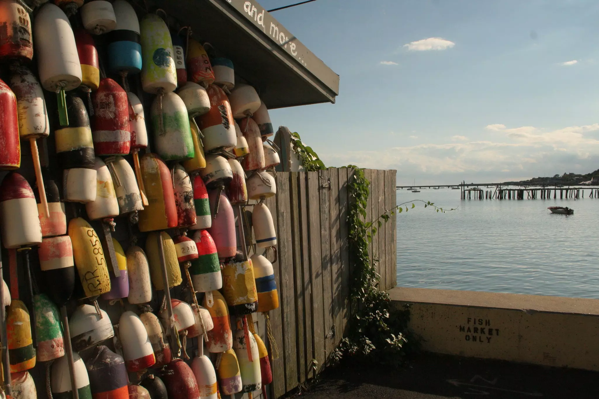 Colorful lobster pots hang from the side of a building. A brown fence covered in green ivy deadends into a seawall looking out onto a bay with a dock and a boat.