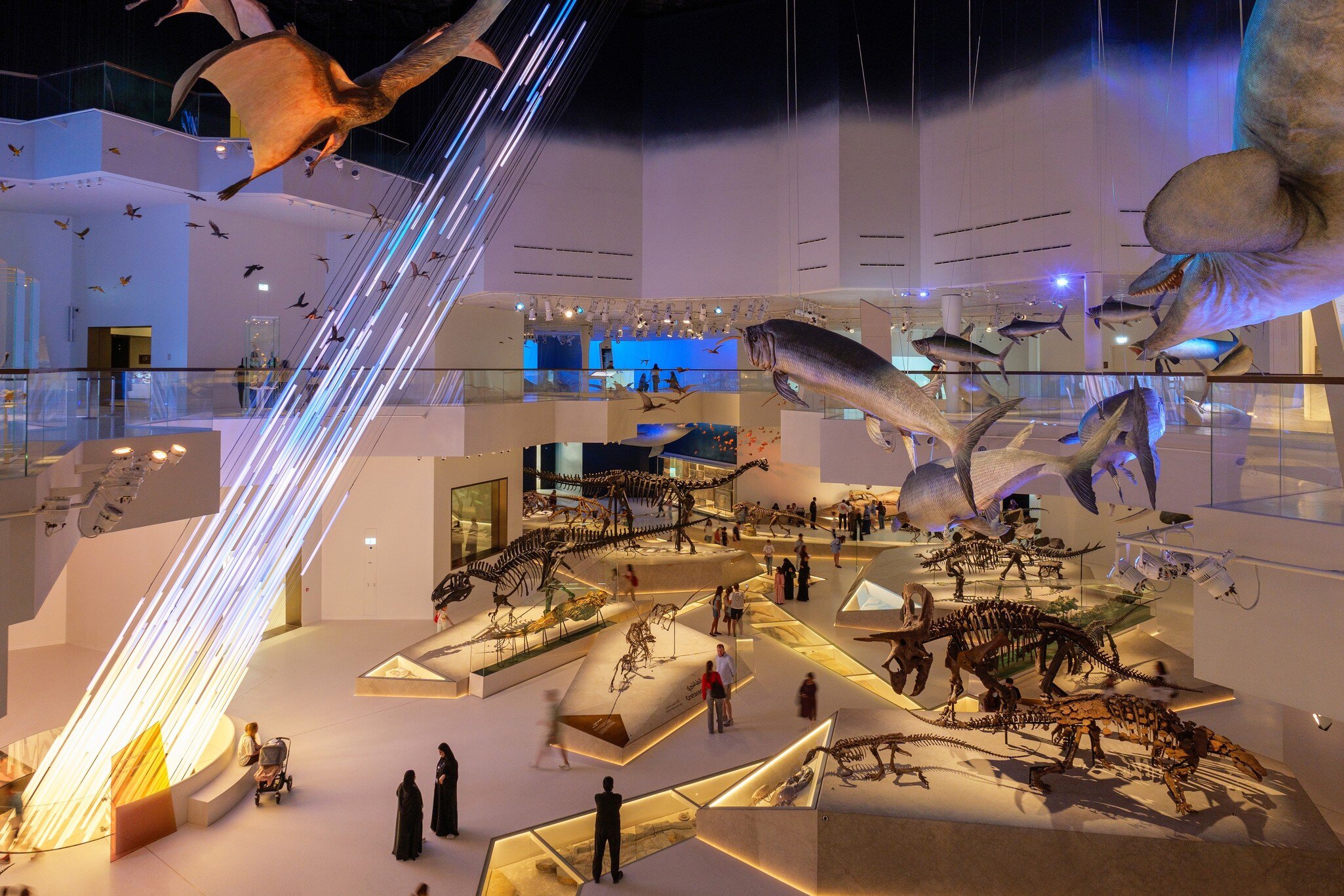 Abu Dhabi, UAE - 13 december 2025. Interior of the Natural History Museum Abu Dhabi featuring exhibition spaces educational displays modern design and quiet atmosphere for visitors, License Type: media, Download Time: 2026-07-31T18:41:39.000Z, User: LP_NZhan, Editorial: true, purchase_order: 65050 - Digital Destinations and Articles, job: App Content, client: Lonely Planet, other: Nadine Zhan 