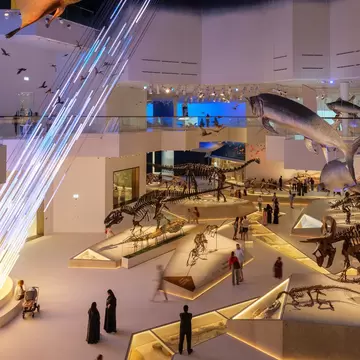 Abu Dhabi, UAE - 13 december 2025. Interior of the Natural History Museum Abu Dhabi featuring exhibition spaces educational displays modern design and quiet atmosphere for visitors, License Type: media, Download Time: 2026-07-31T18:41:39.000Z, User: LP_NZhan, Editorial: true, purchase_order: 65050 - Digital Destinations and Articles, job: App Content, client: Lonely Planet, other: Nadine Zhan 