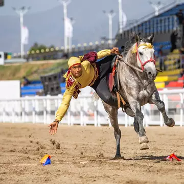 A man on a galloping horse in a hippodrome leans over to grab an object off the dirt track.