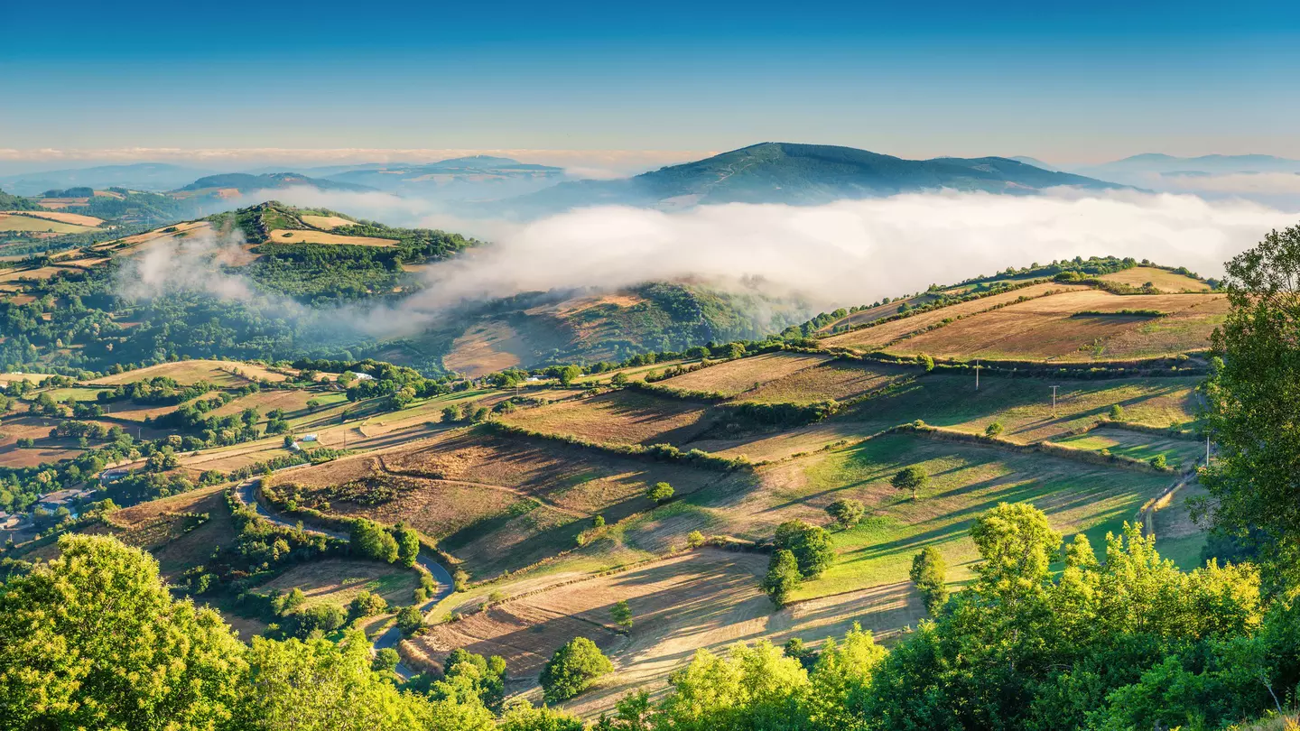 The fertile green landscape of Galicia.