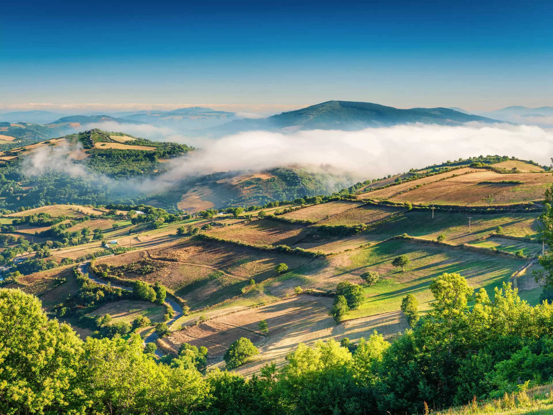 The fertile green landscape of Galicia.