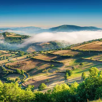 The fertile green landscape of Galicia.