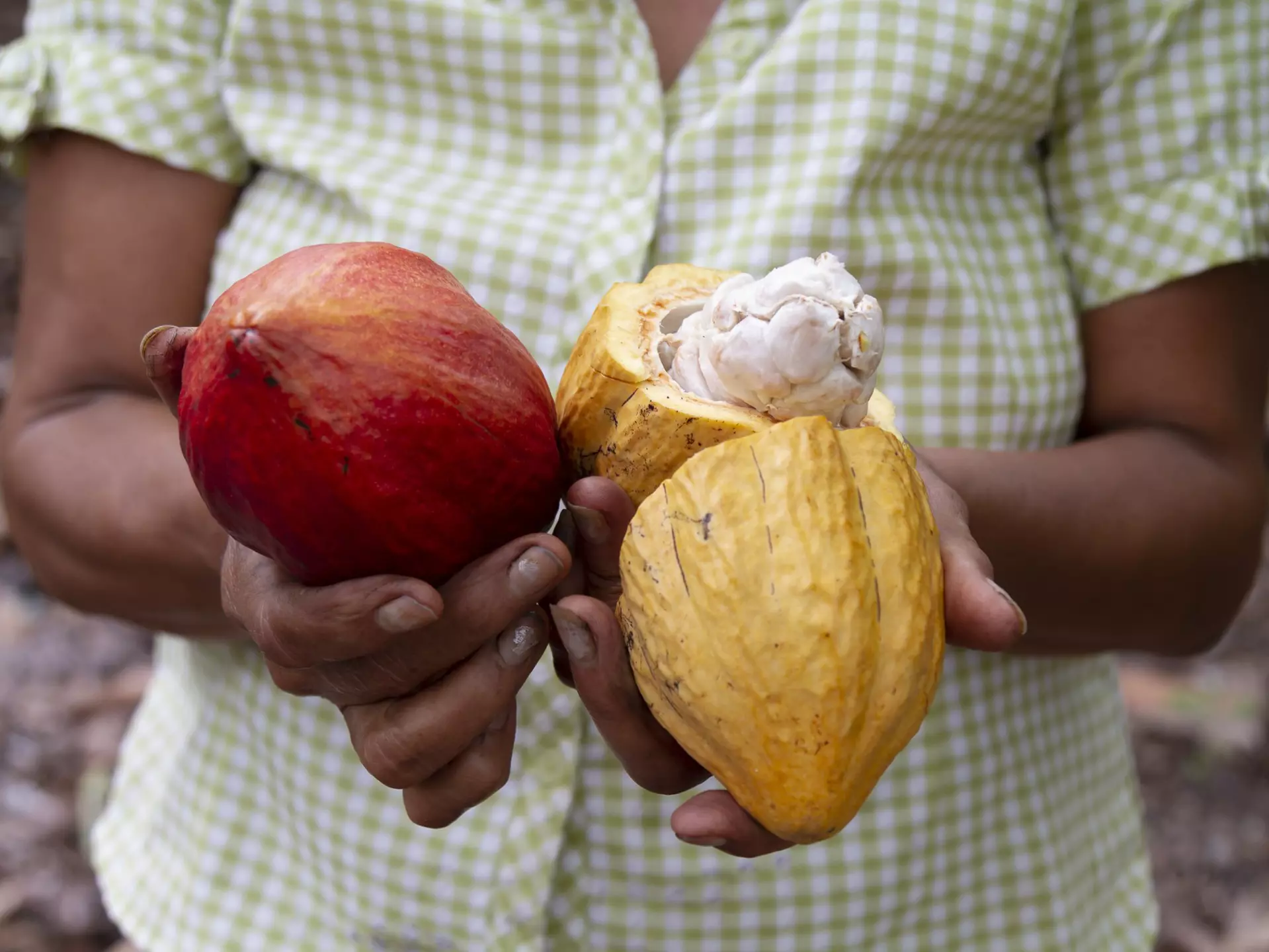 From traditional street food to straight-from-the-sea-ceviche to the world's best chocolate, here's our list of the best dishes to try in Ecuador © holgs / Getty Images