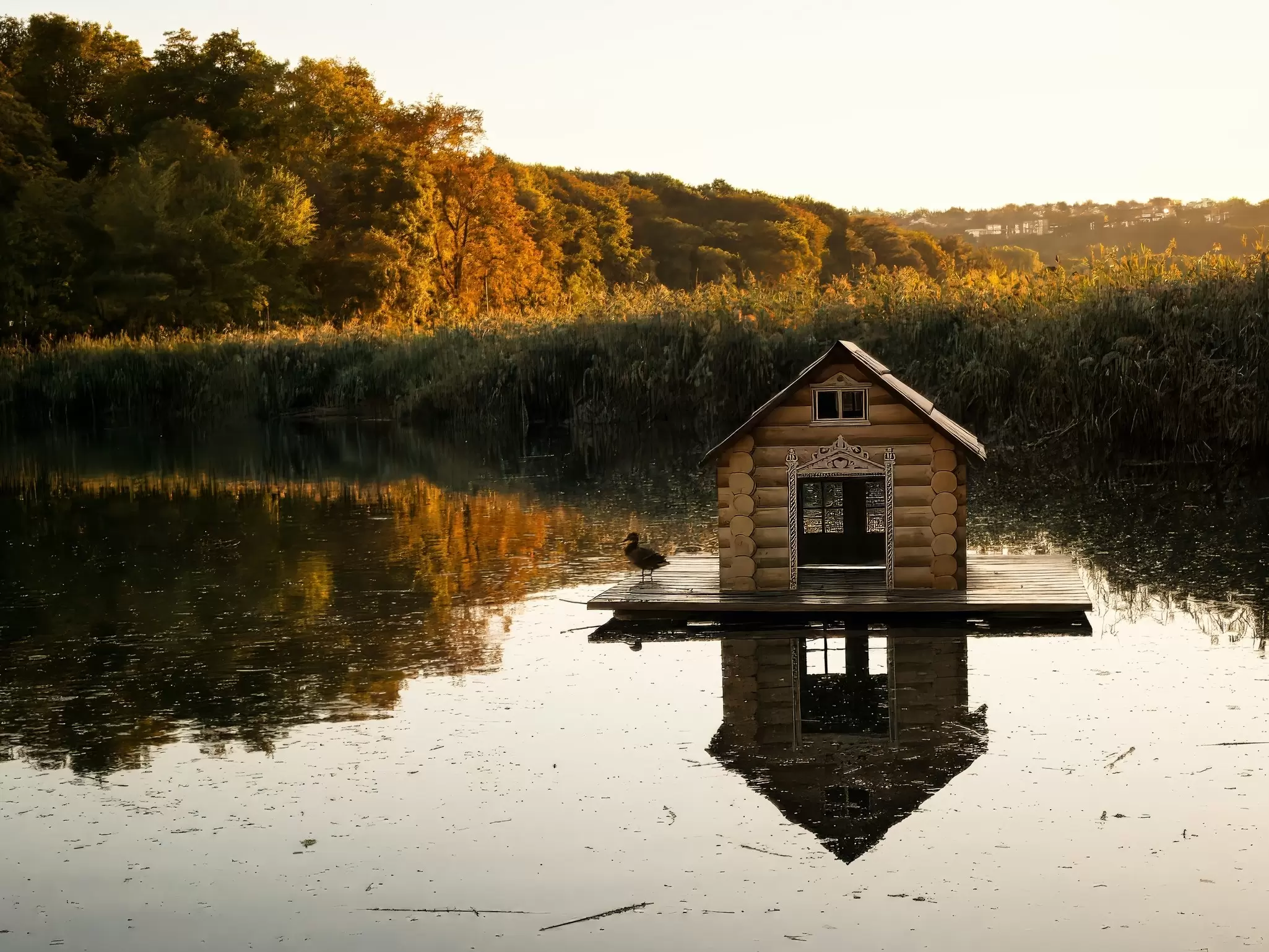 Log duck house on a wooden platform reflected in a calm lake with reeds and autumn trees, Valea Morilor Park, Chișinău