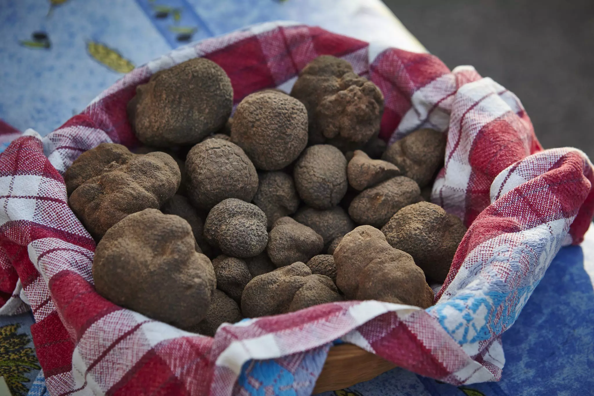 Bowl of fresh truffle mushrooms at market stall.