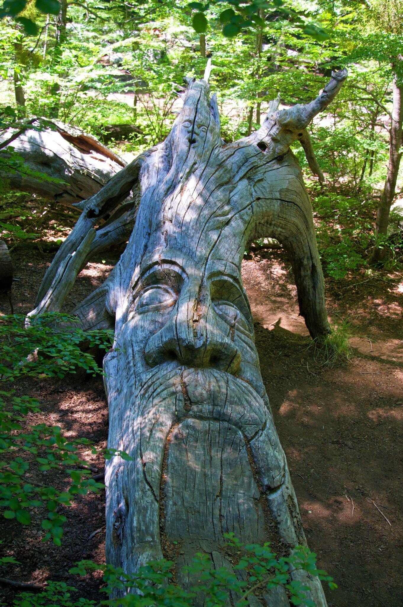 Face Wood Carving on tree bark, part of Bosque Tallado open-air museum in El Bolsón, Río Negro, Argentina.