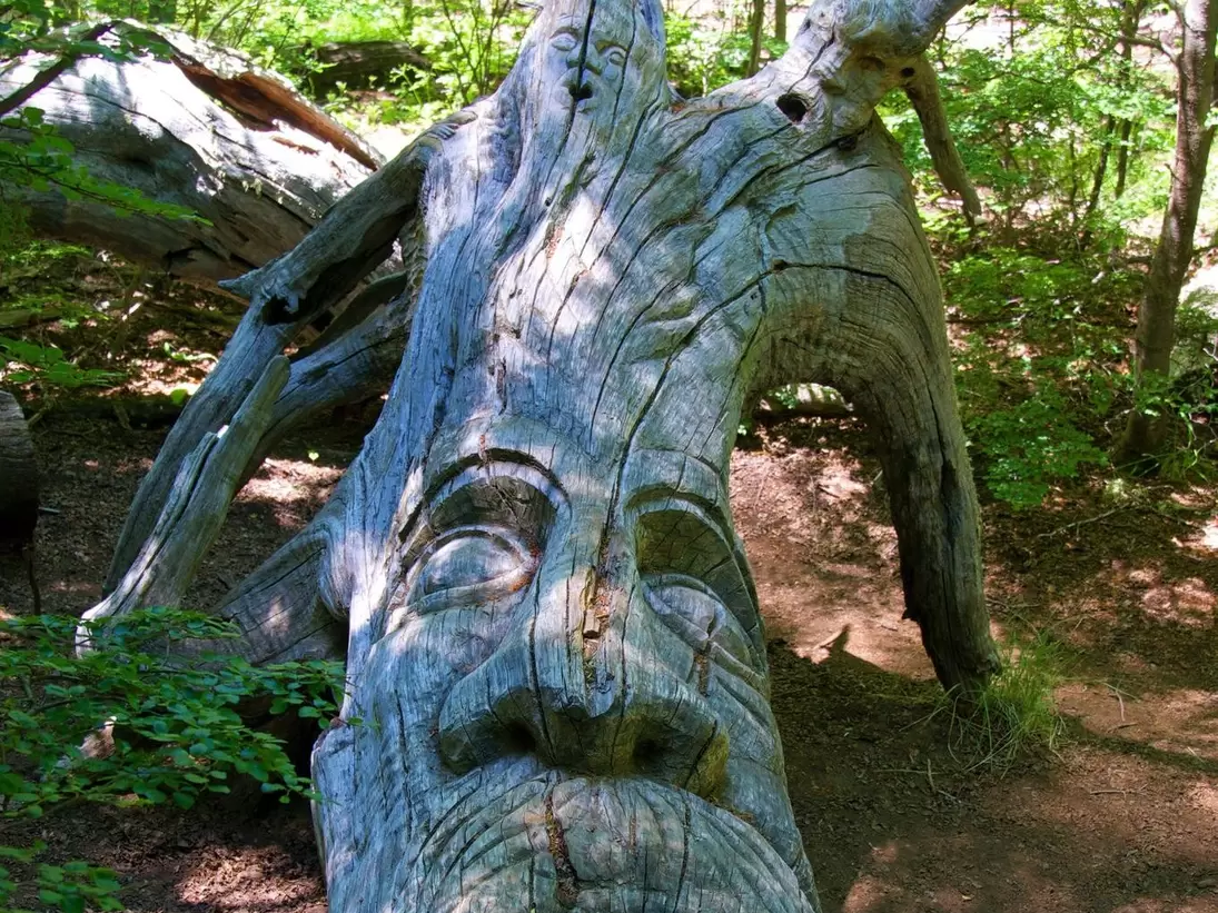 Face Wood Carving on tree bark, part of Bosque Tallado open-air museum in El Bolsón, Río Negro, Argentina.