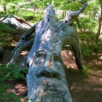 Face Wood Carving on tree bark, part of Bosque Tallado open-air museum in El Bolsón, Río Negro, Argentina.