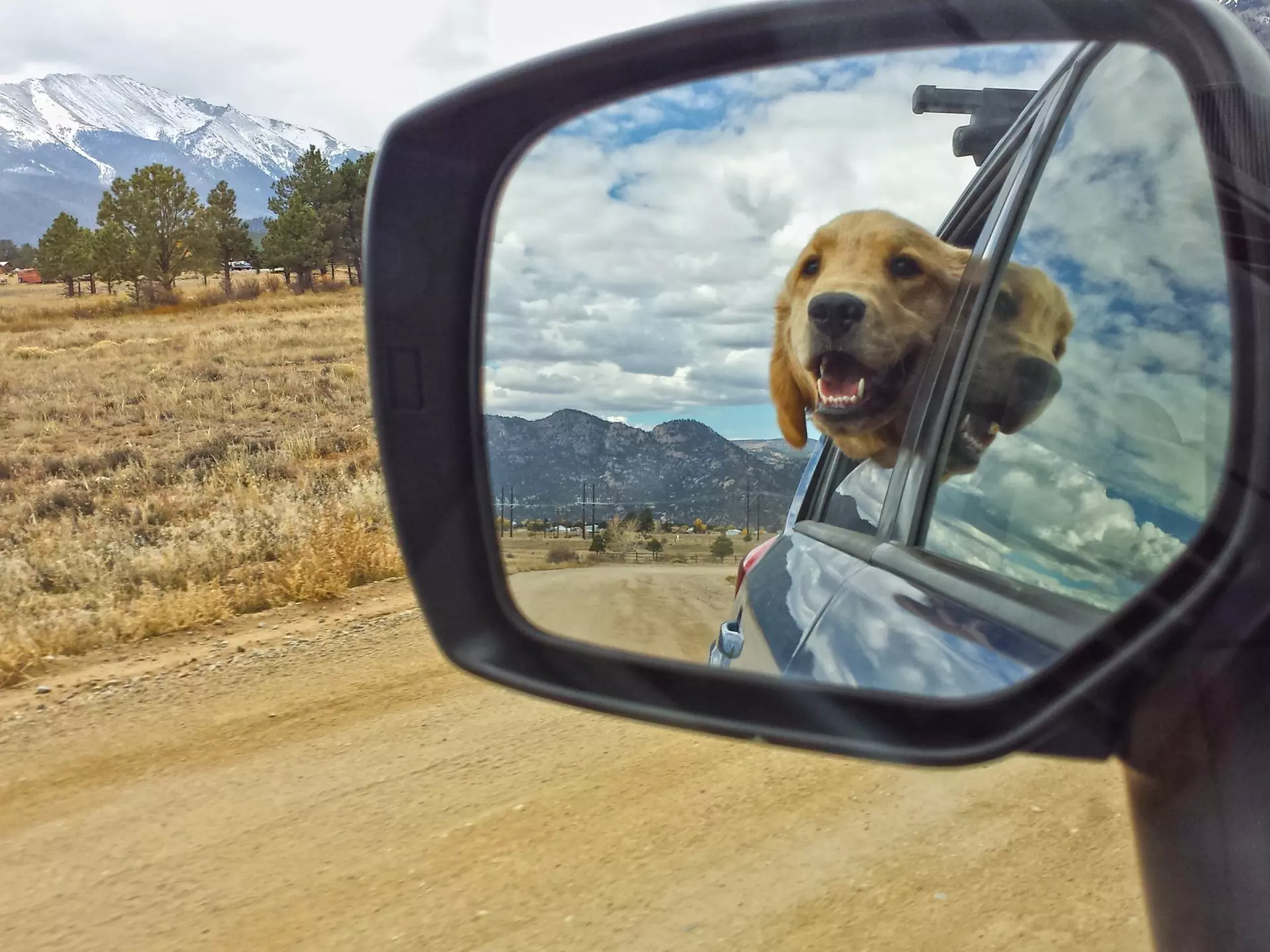 A golden retriever sticks its head out of a car window and looks in the rear-view mirror. Snow-covered mountains loom in the distance.