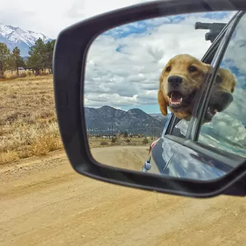 A golden retriever sticks its head out of a car window and looks in the rear-view mirror. Snow-covered mountains loom in the distance.