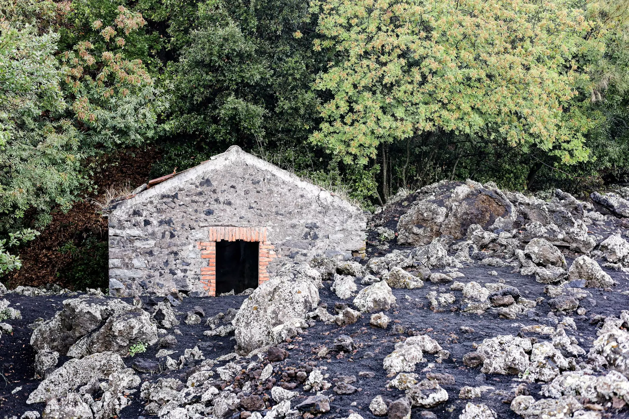 An abandoned small stone house is surrounded by solidified volcanic lava.