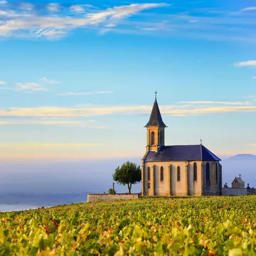 A quaint church at the top of a hill covered in vines bathed in morning mist