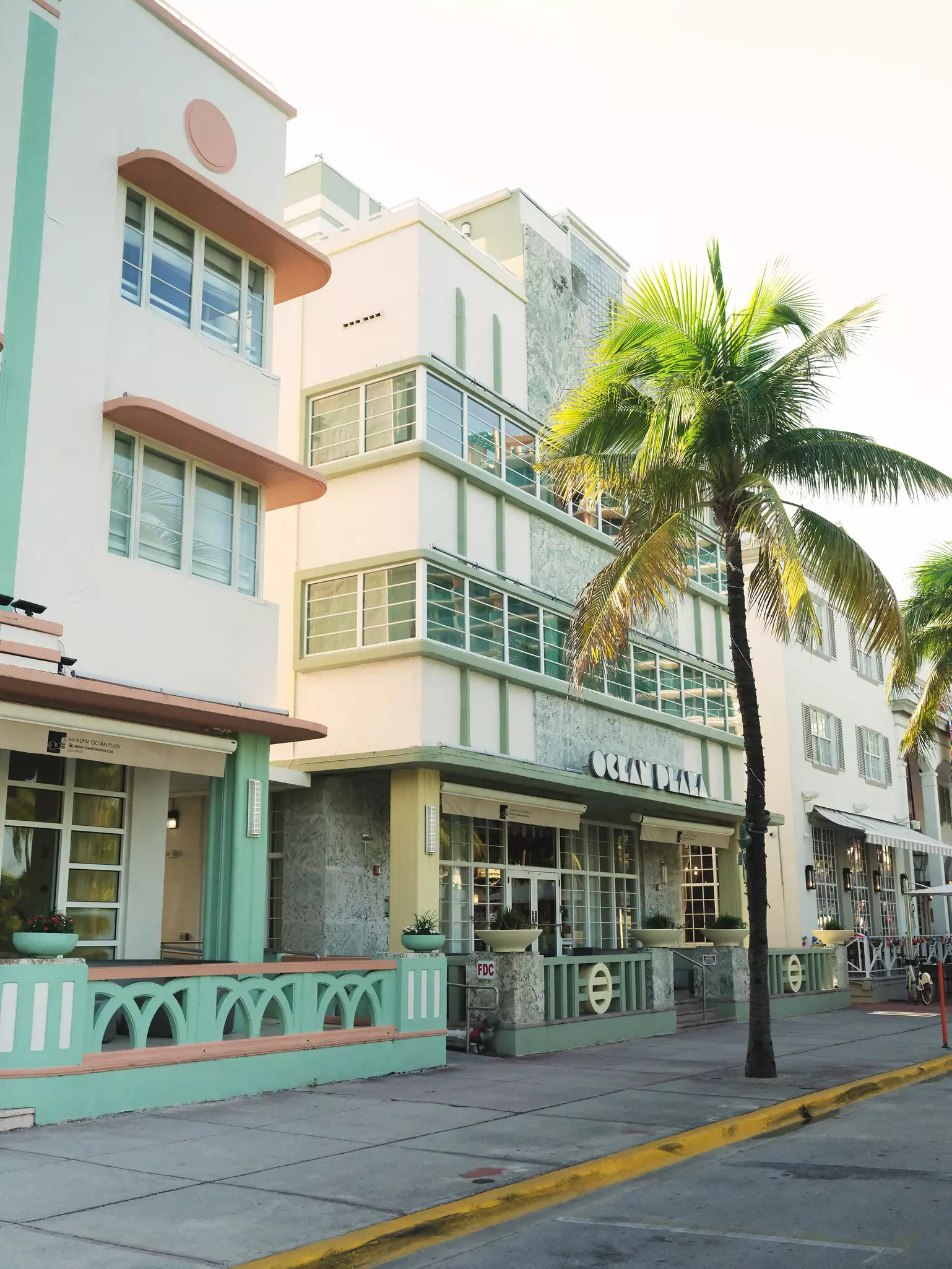 Art deco style buildings on a street with a palm tree.