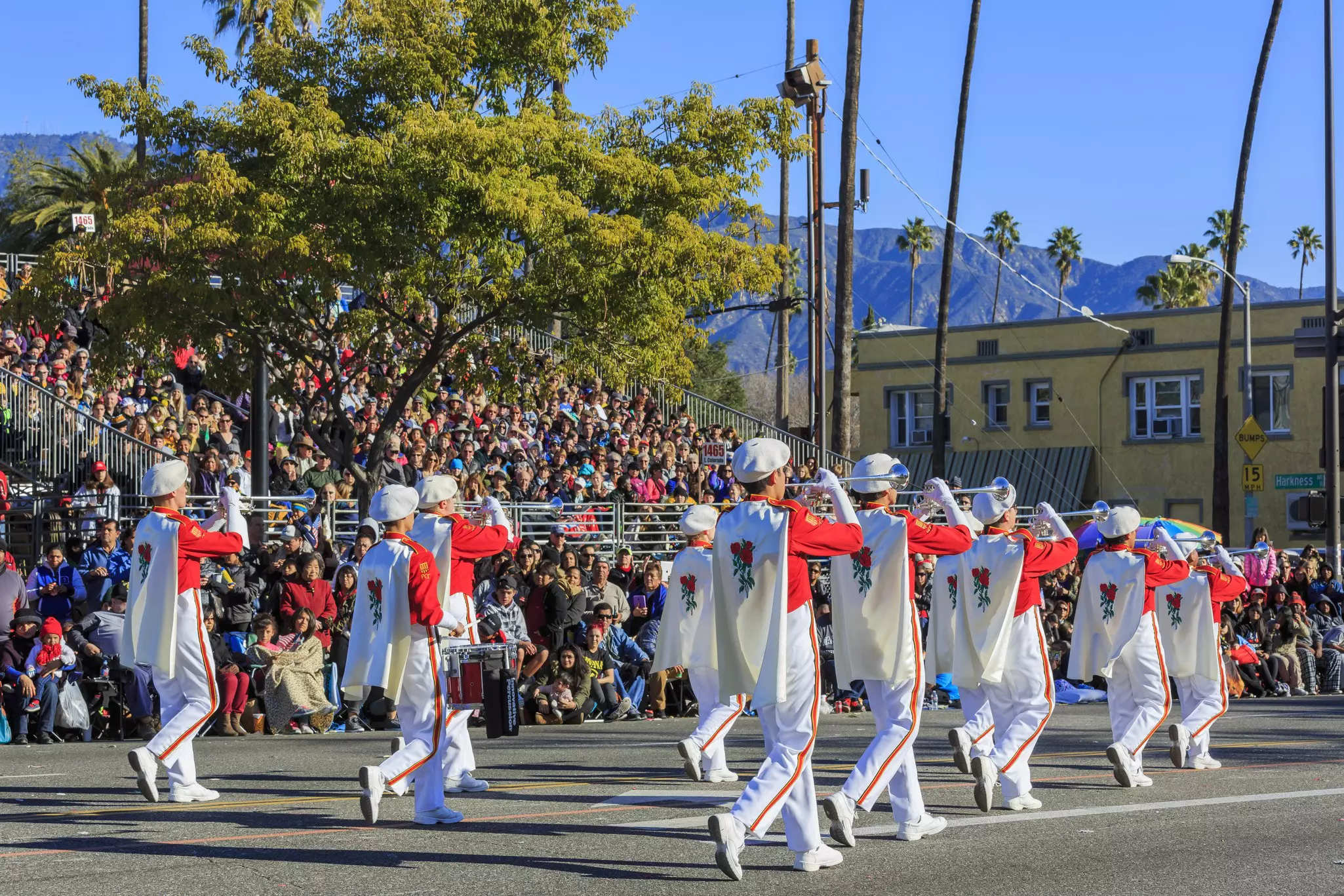 A marching band participates in a parade in a city as spectators look on. Palm trees and other vegetation line the street under a blue sky.