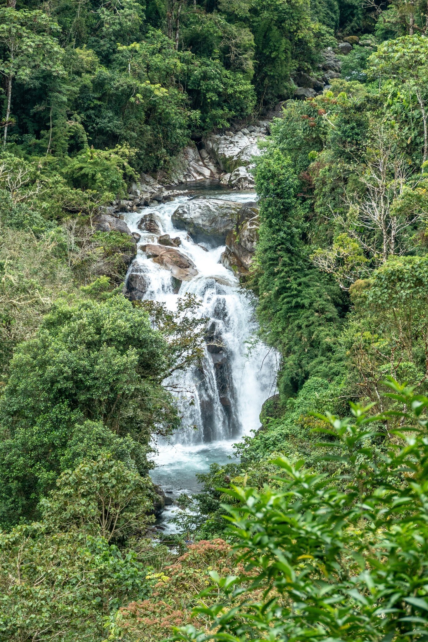 Waterfall within the Cloudbridge reserve in the Talamanca mountains of Costa Rica.