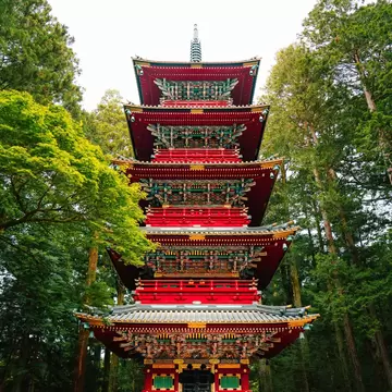 Red five-storey pagoda with carved green and gold brackets at Toshogu, Nikko, seen from below between tall cedars