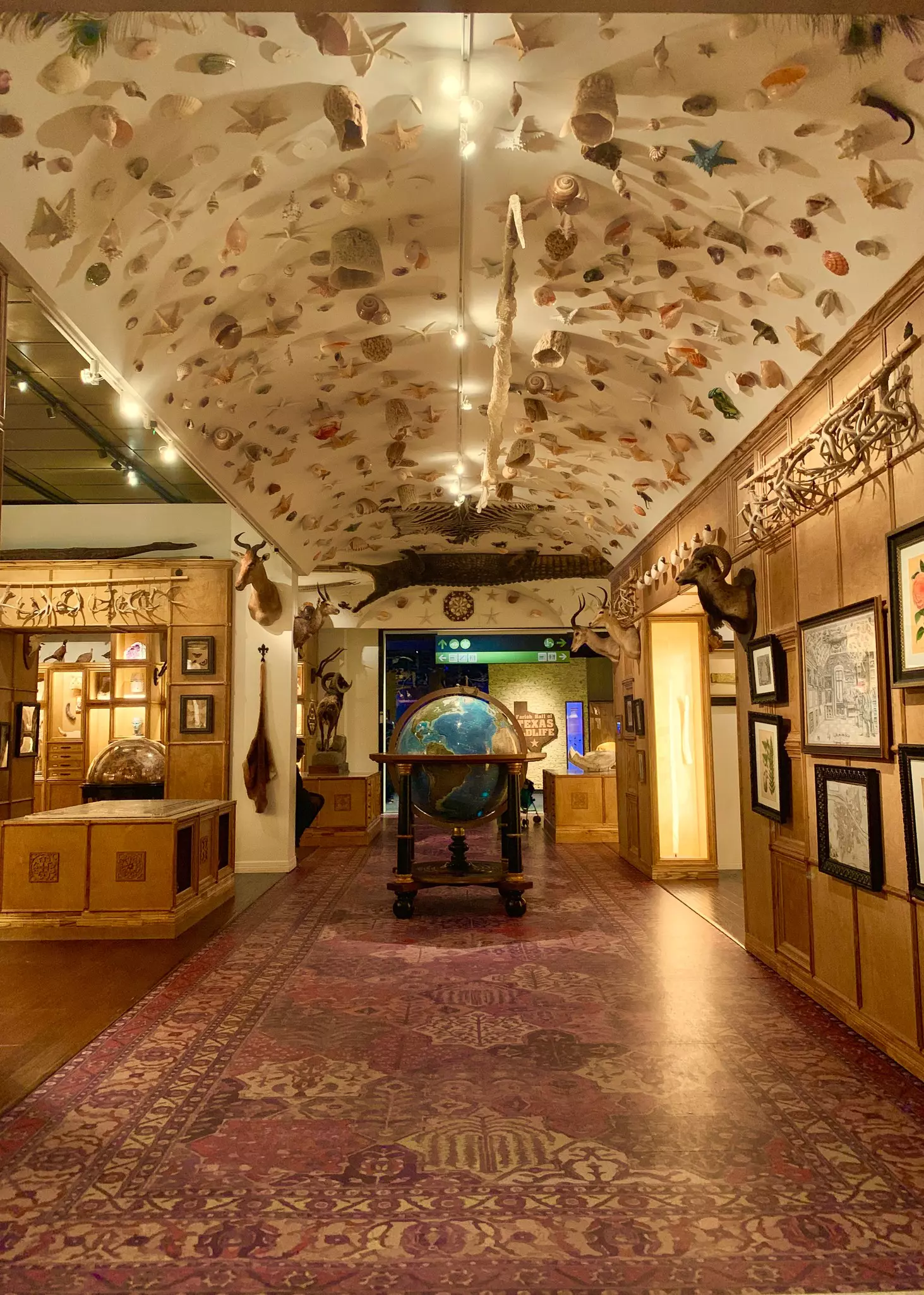 Museum of Natural Science interior
