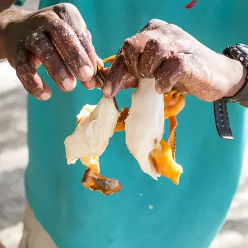 Close-up on the hands of a Black man wearing a green shirt and preparing conch in Exuma, Bahamas