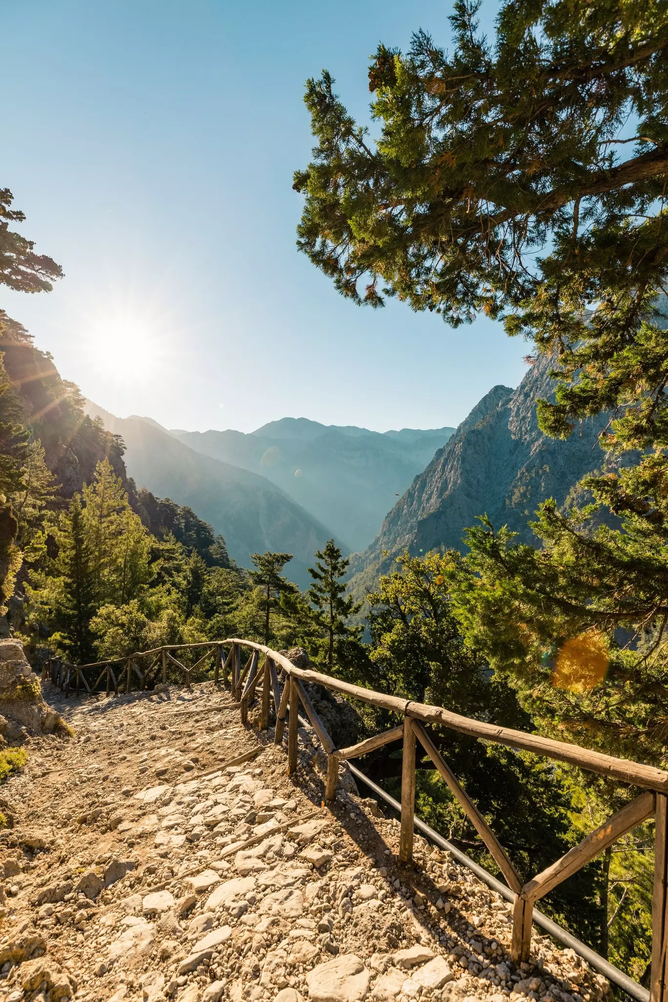Path to Samaria Gorge, Crete Greece with a sun flared sky beyond the trees