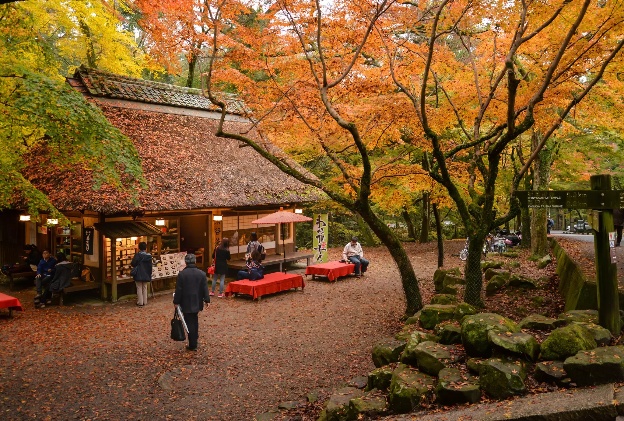 A Japanese teahouse surrounded by autumn leaves. 