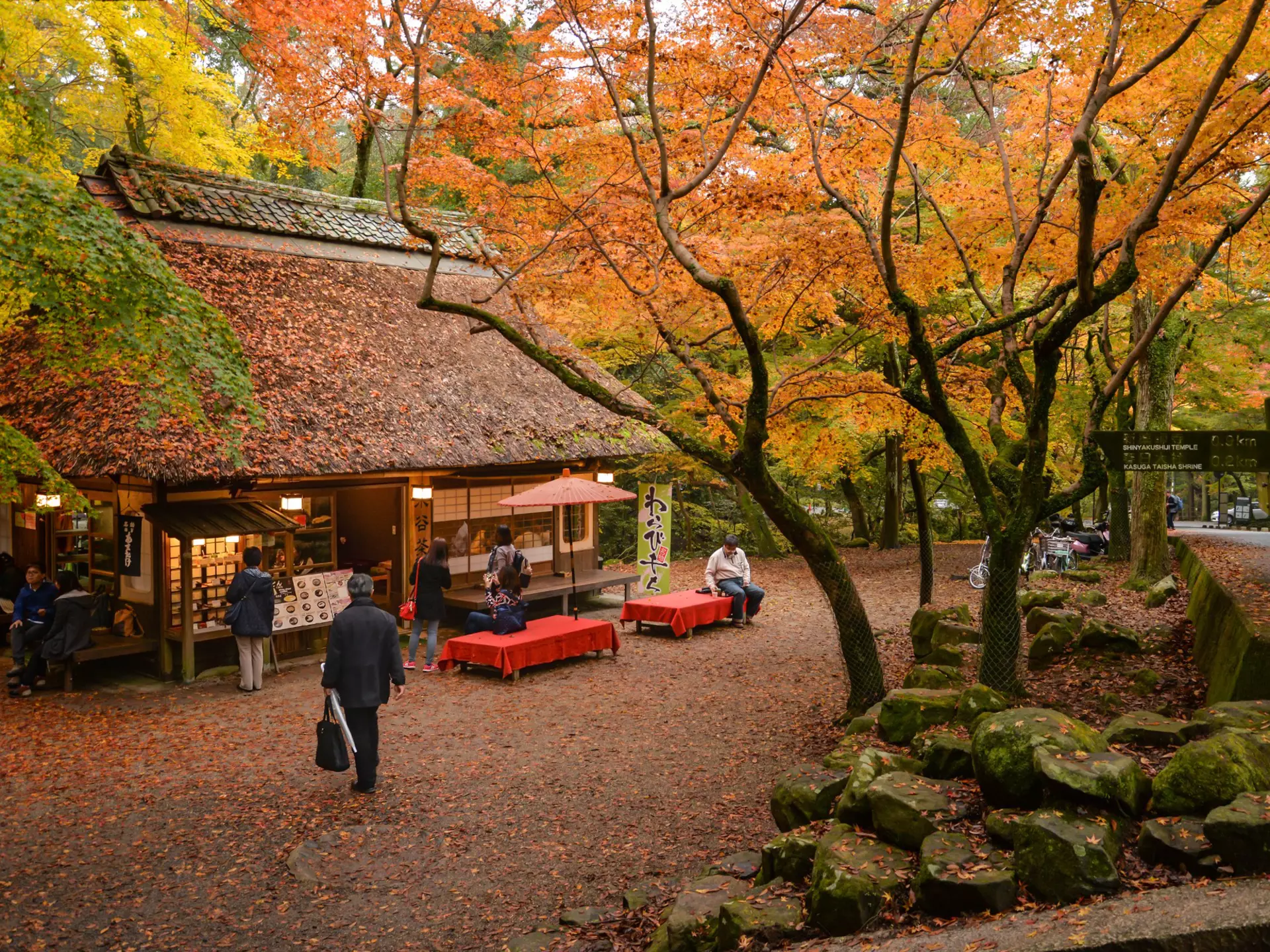 A Japanese teahouse surrounded by autumn leaves. 