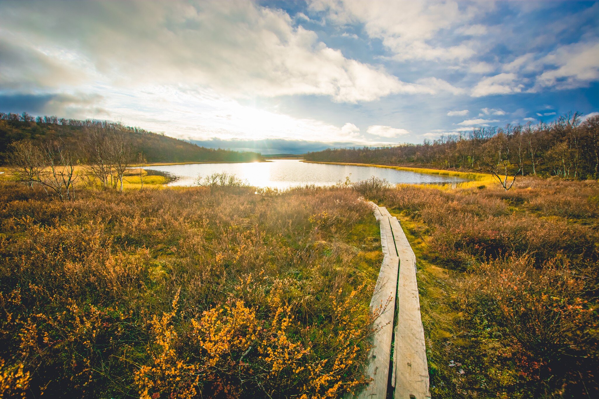 Pictures taken at Kevo Strict Nature Reserve, Finland in Autumn; Shutterstock ID 1520090966;