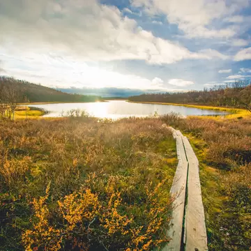 Pictures taken at Kevo Strict Nature Reserve, Finland in Autumn; Shutterstock ID 1520090966;