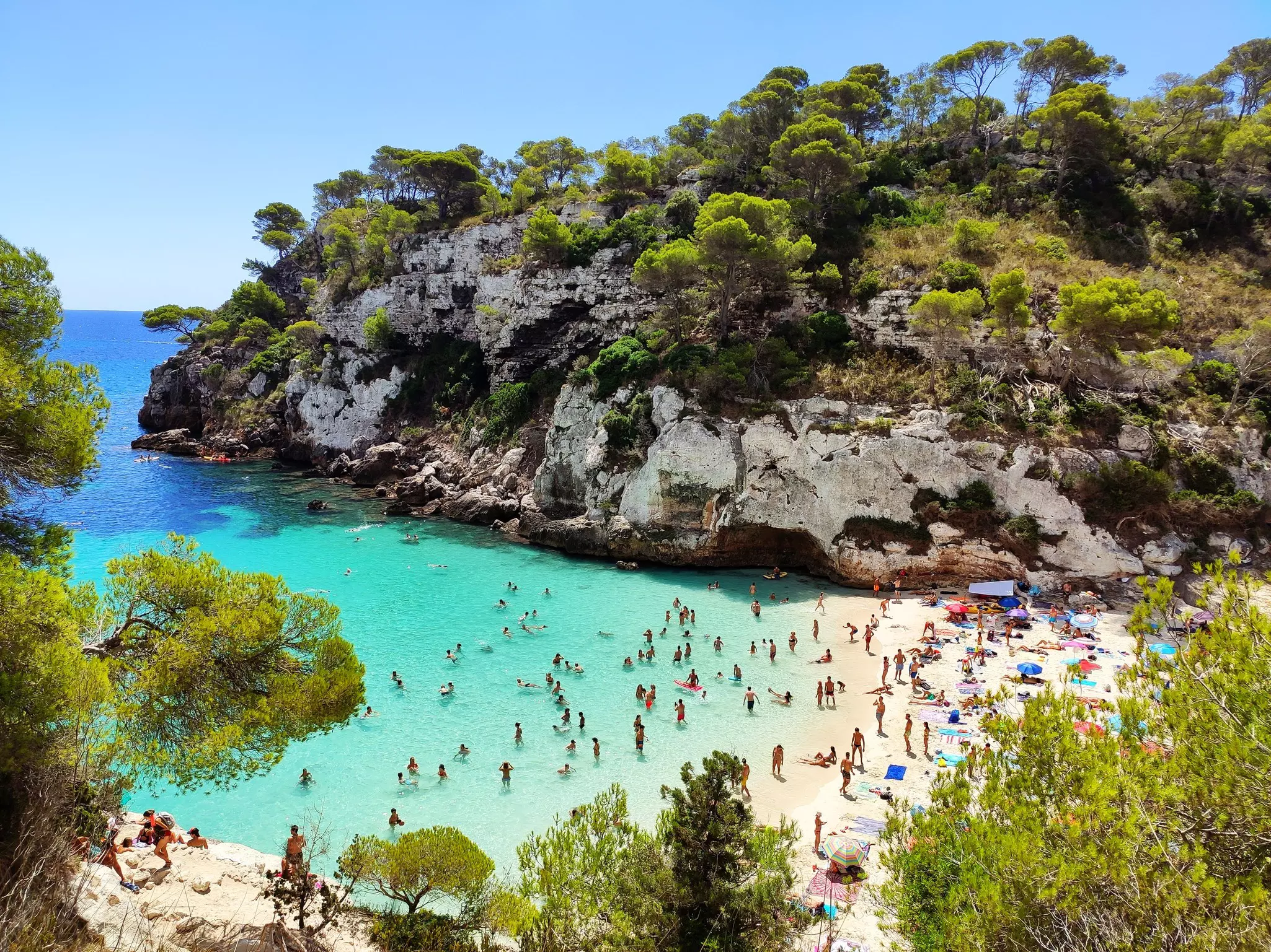 Beach-goers swim in turquoise water and bathe on white sand on a beach backed by pine forests