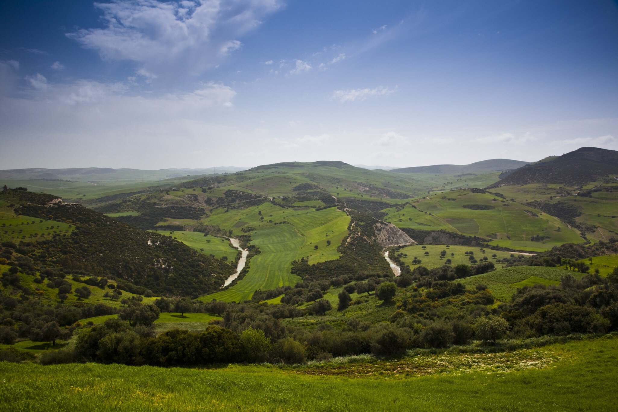 Tunisia, Sejenane, Sejenane River Valley in springtime