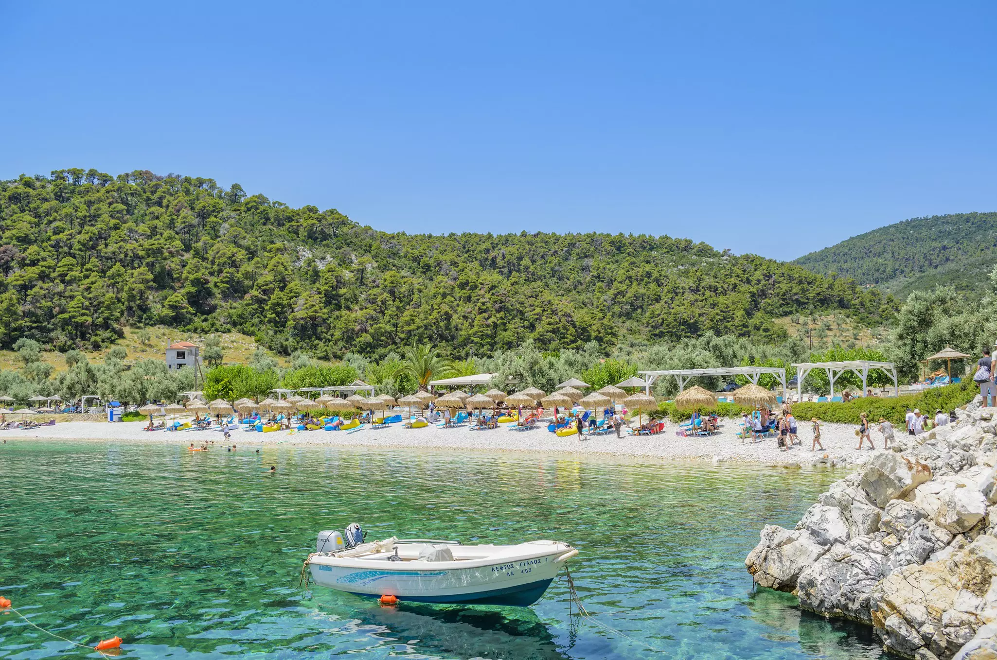 Beach surrounded by a forest and lined with deckchairs and straw parasols.