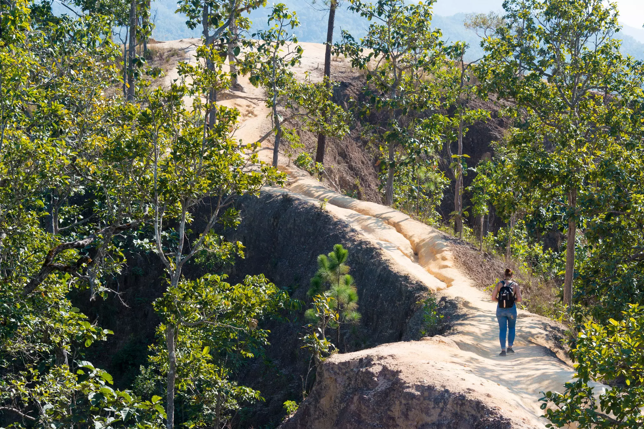 A woman with a dark backpack walks up a dirt path that is between green trees