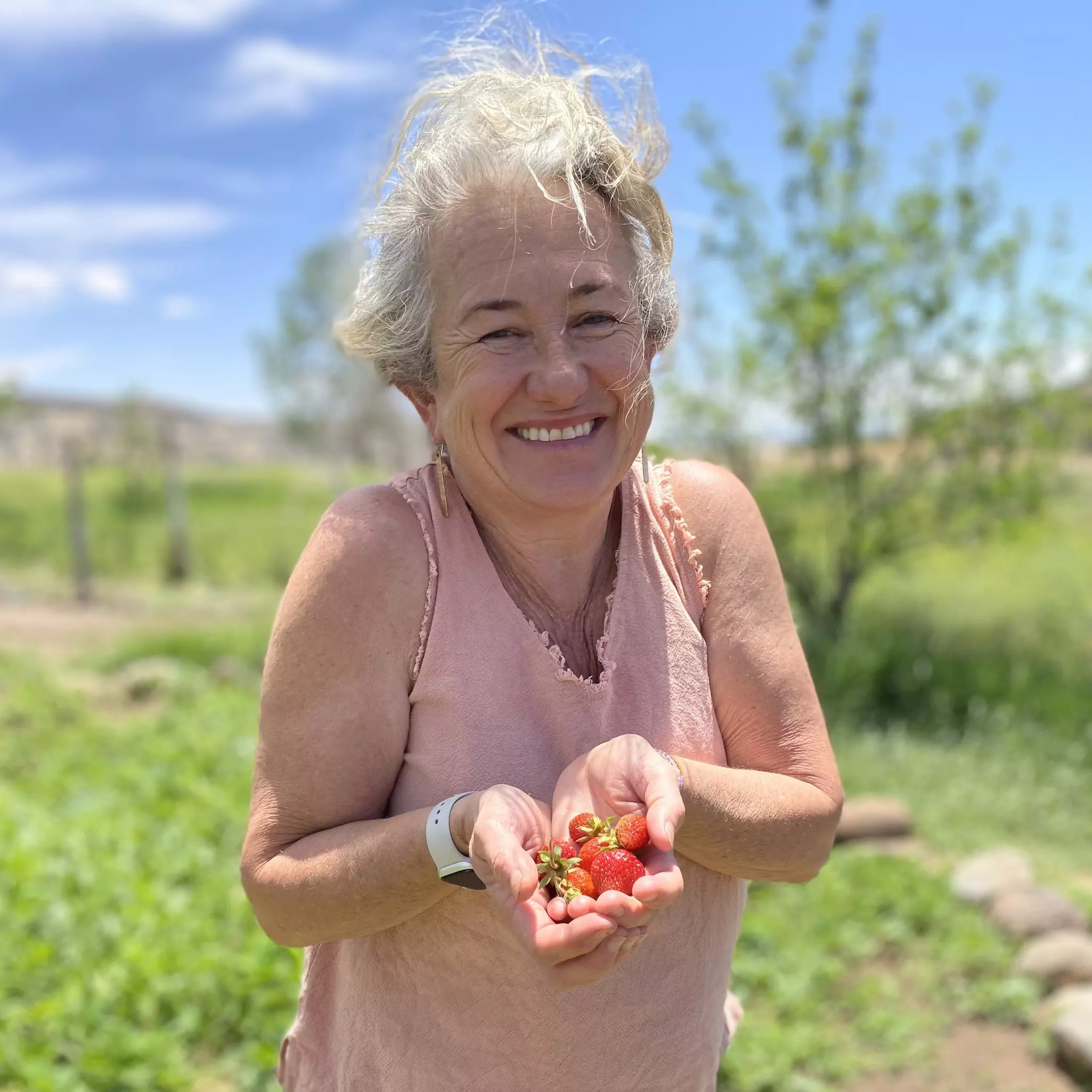 Blake Spalding, chef and owner of Hell’s Backbone Grill, picks fresh strawberries from the restaurant’s farm © Deepa Lakshmin / Lonely Planet