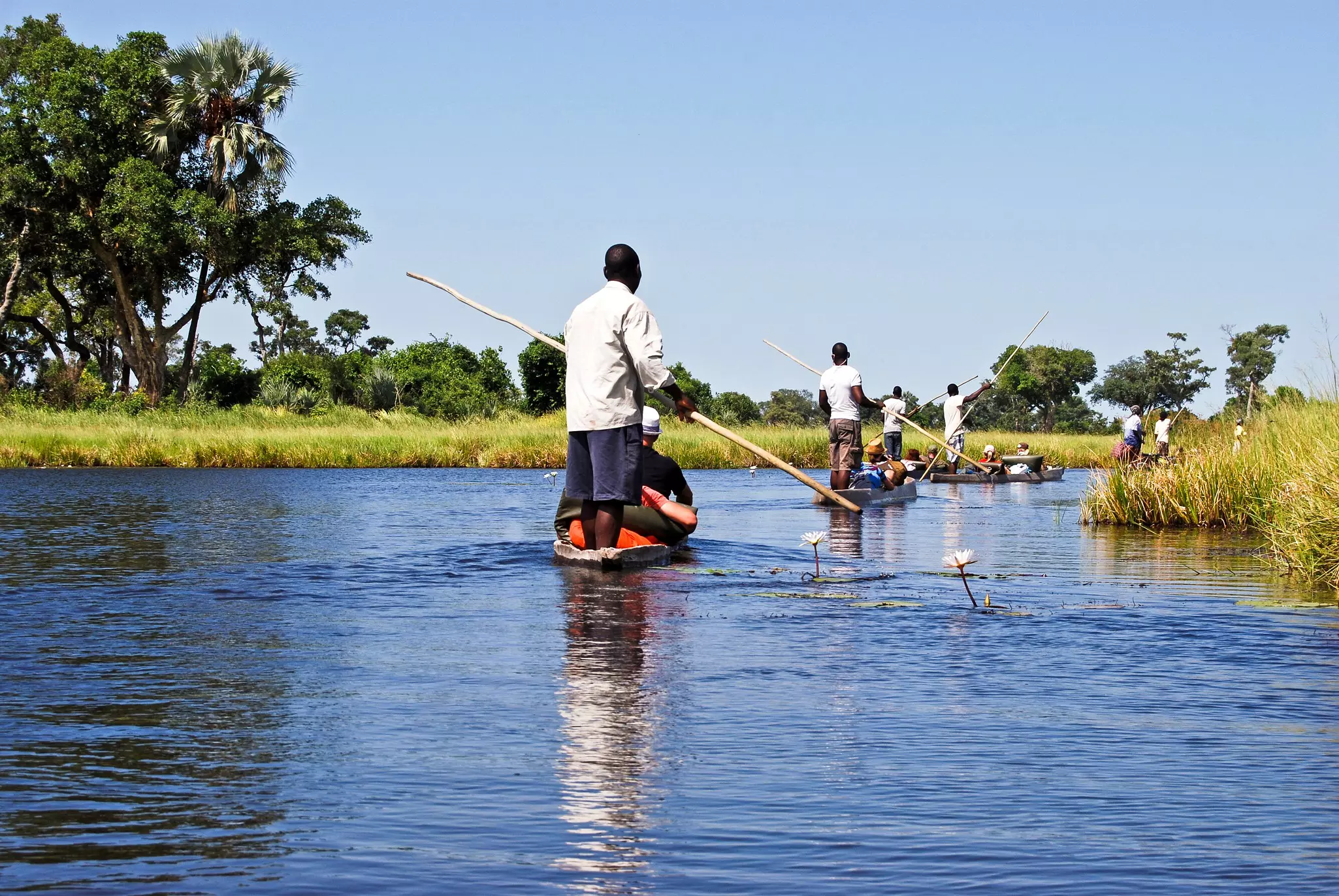 Passengers sitting in dugout canoes on a safari through a waterway. Guides steer the canoes using long poles.