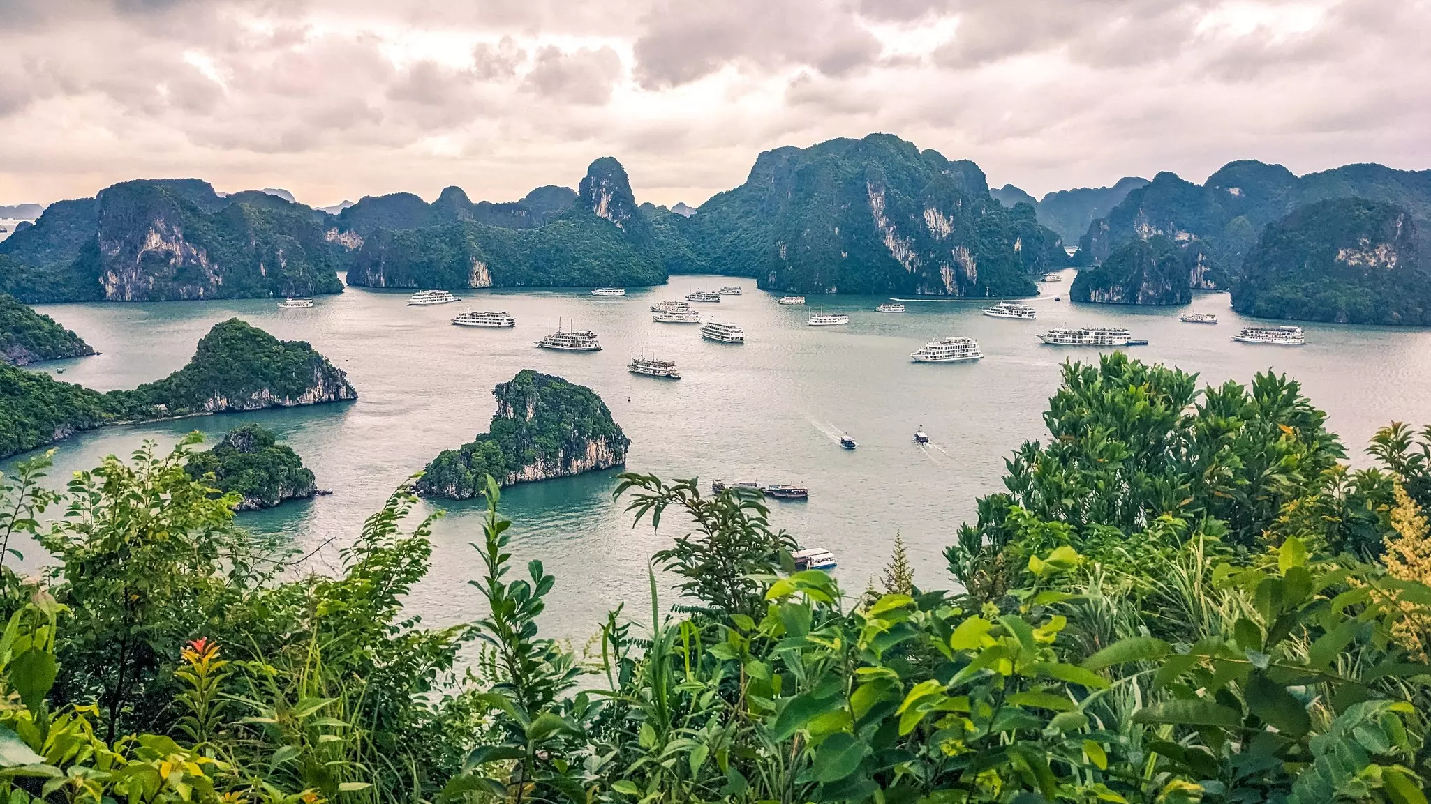 A bay as seen an elevated viewpoint, with rocky islands and several moored ships.