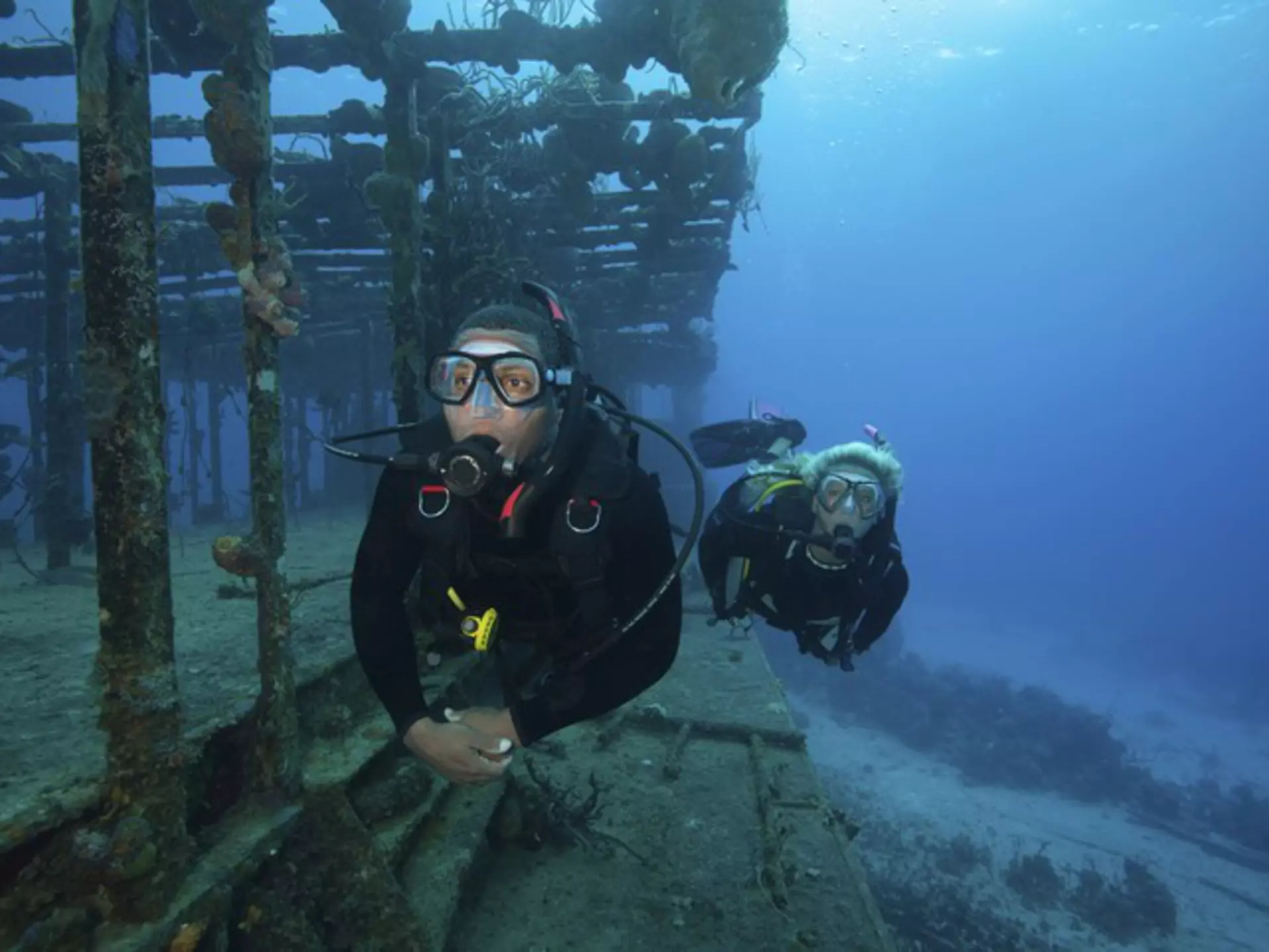 926878022
floating, female, male, submerged, colour image, anthozoan, sea anemones and corals, aqualung, scuba tank, diving mask, post, metal post, coral reef, ocean