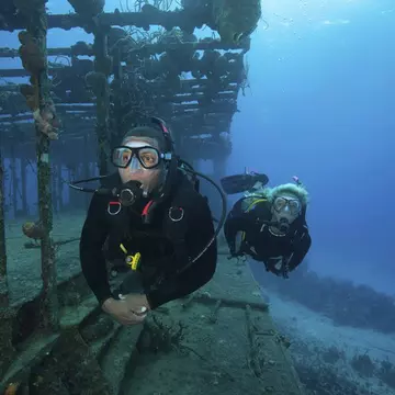 926878022
floating, female, male, submerged, colour image, anthozoan, sea anemones and corals, aqualung, scuba tank, diving mask, post, metal post, coral reef, ocean