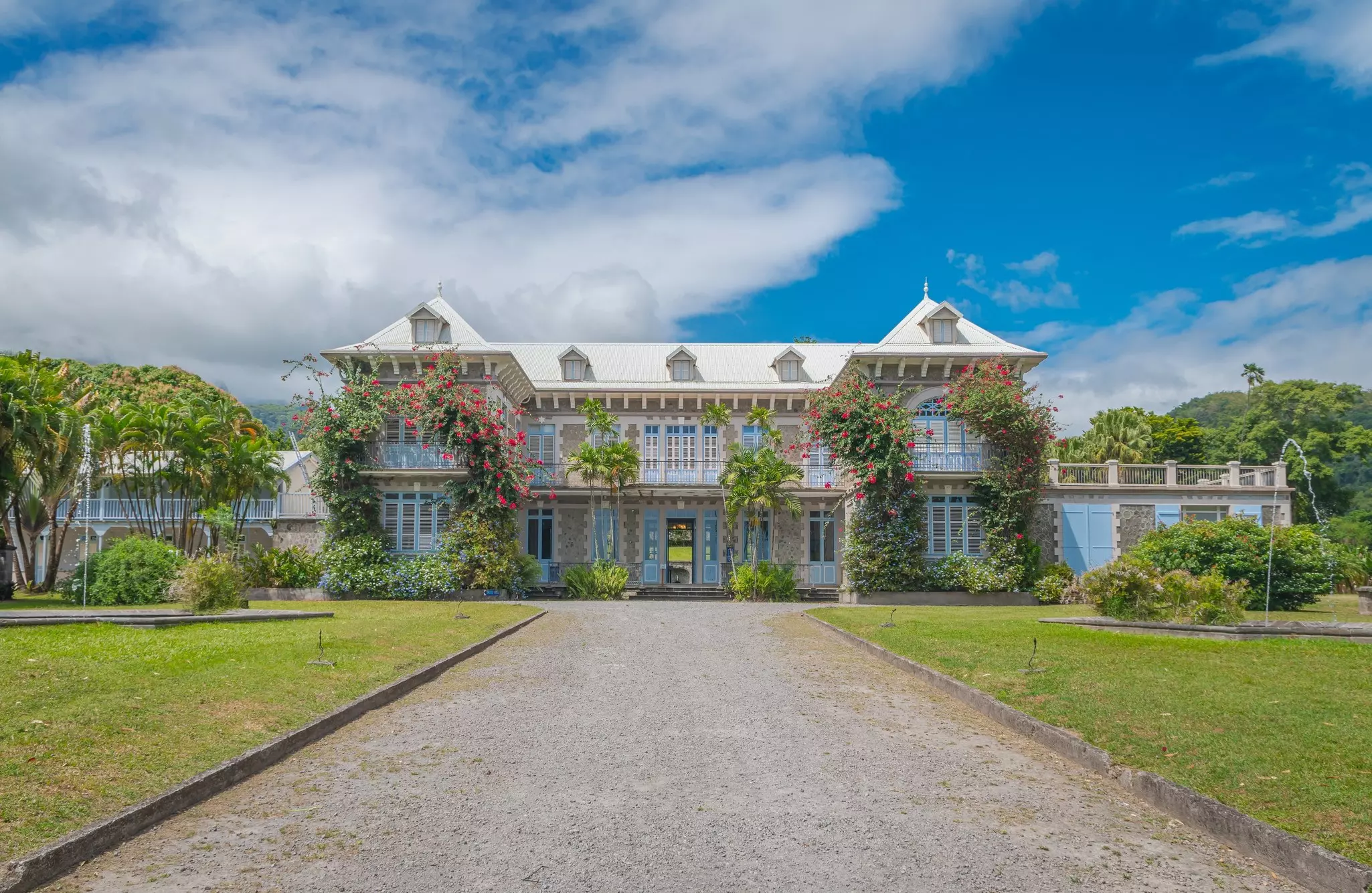 A grand house with shuttered windows and creeping roses growing near the windows.