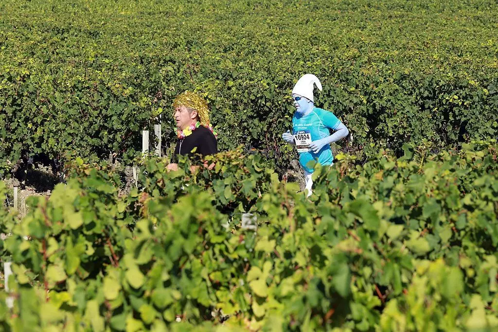 Thousands of colourfully dressed runners in the Marathon du Médoc work their way along a curving downhill section of walled road that cuts between rows of vines.
