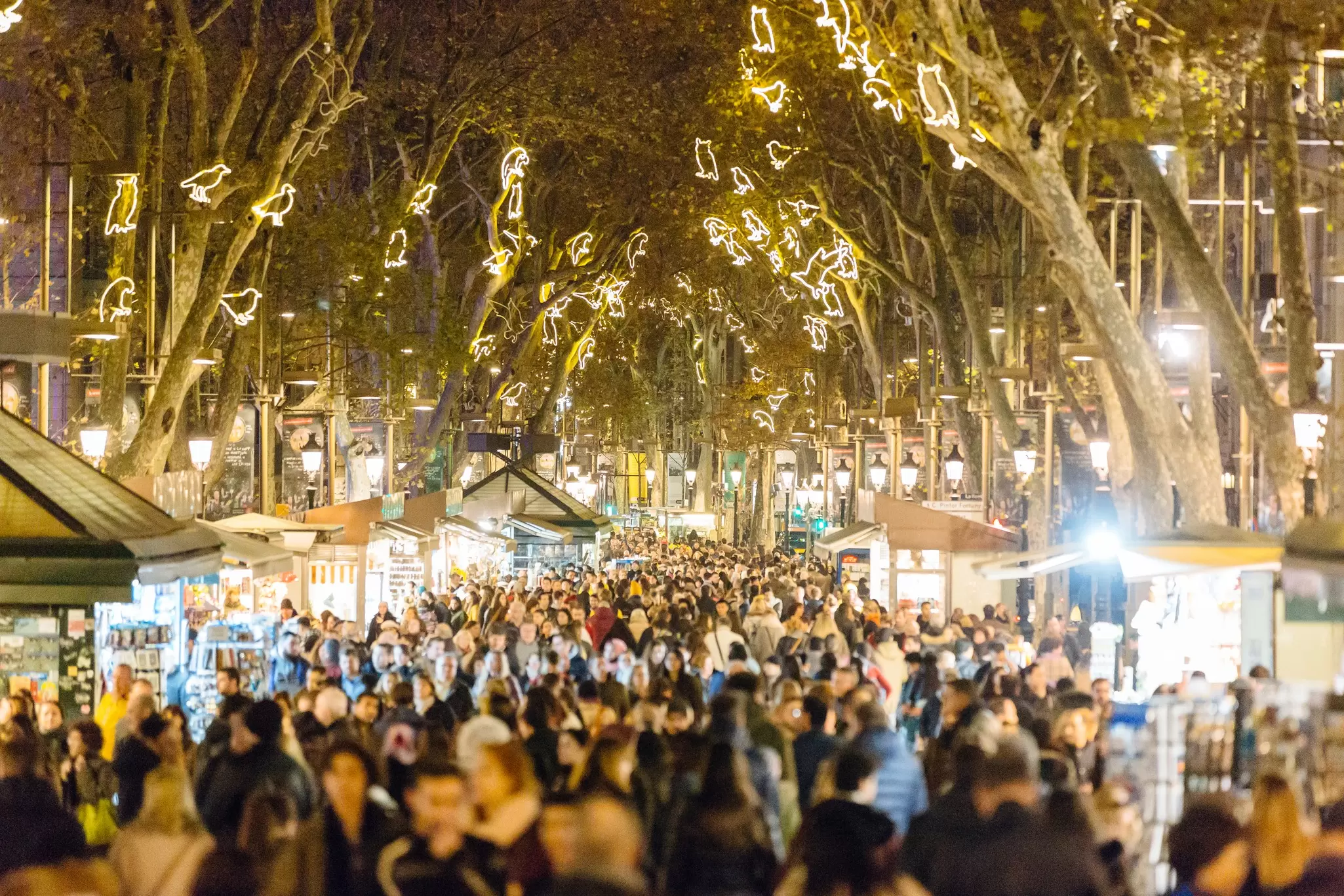 Experience the Christmas traditions that are unique to Barcelona. Alexander Spatari/Getty Images