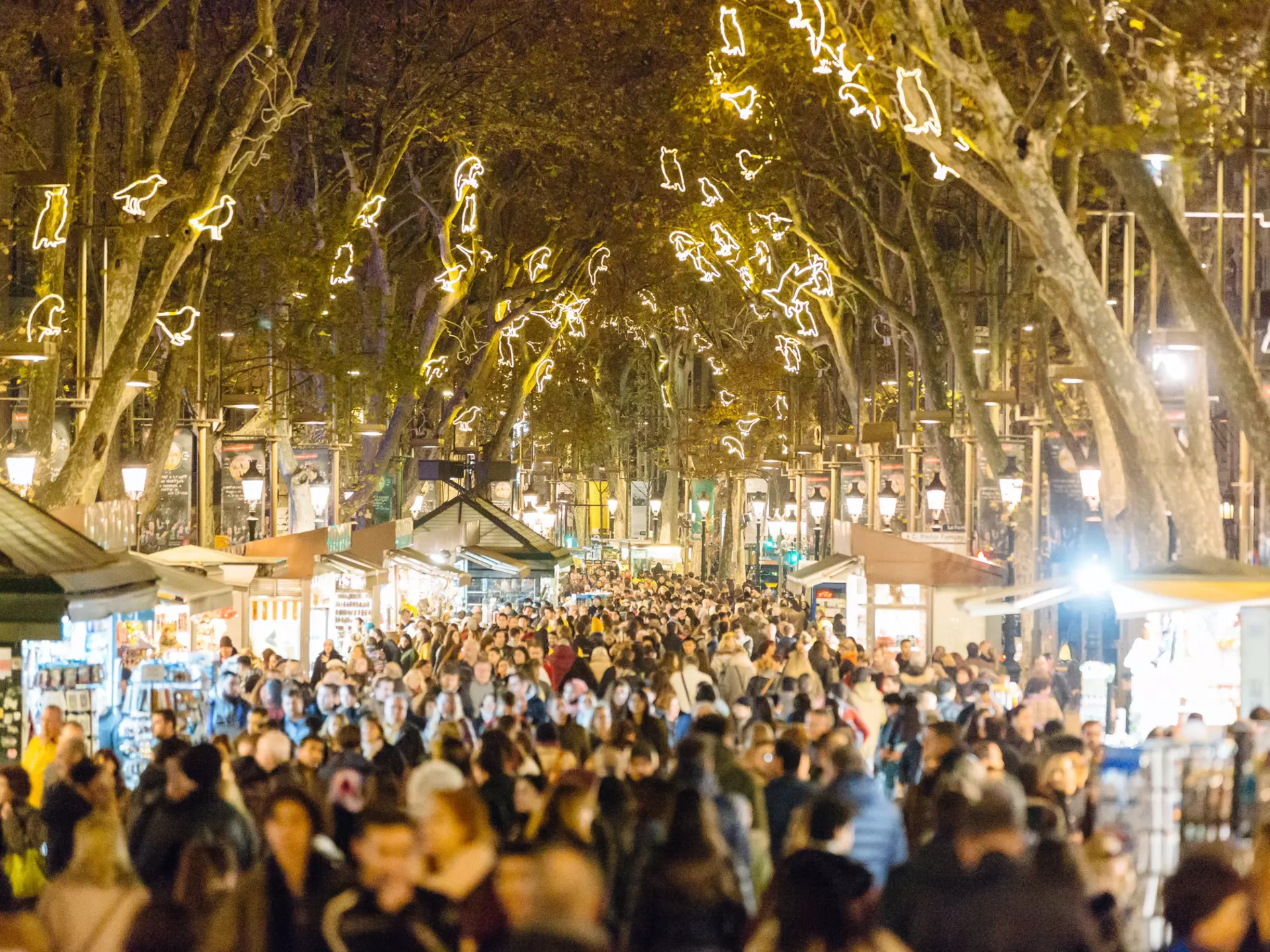 Experience the Christmas traditions that are unique to Barcelona. Alexander Spatari/Getty Images