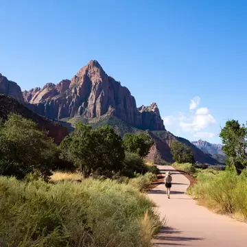 Paved Pa'rus Trail in Zion National Park winding through desert scrub toward the red-rock Watchman peak under blue sky