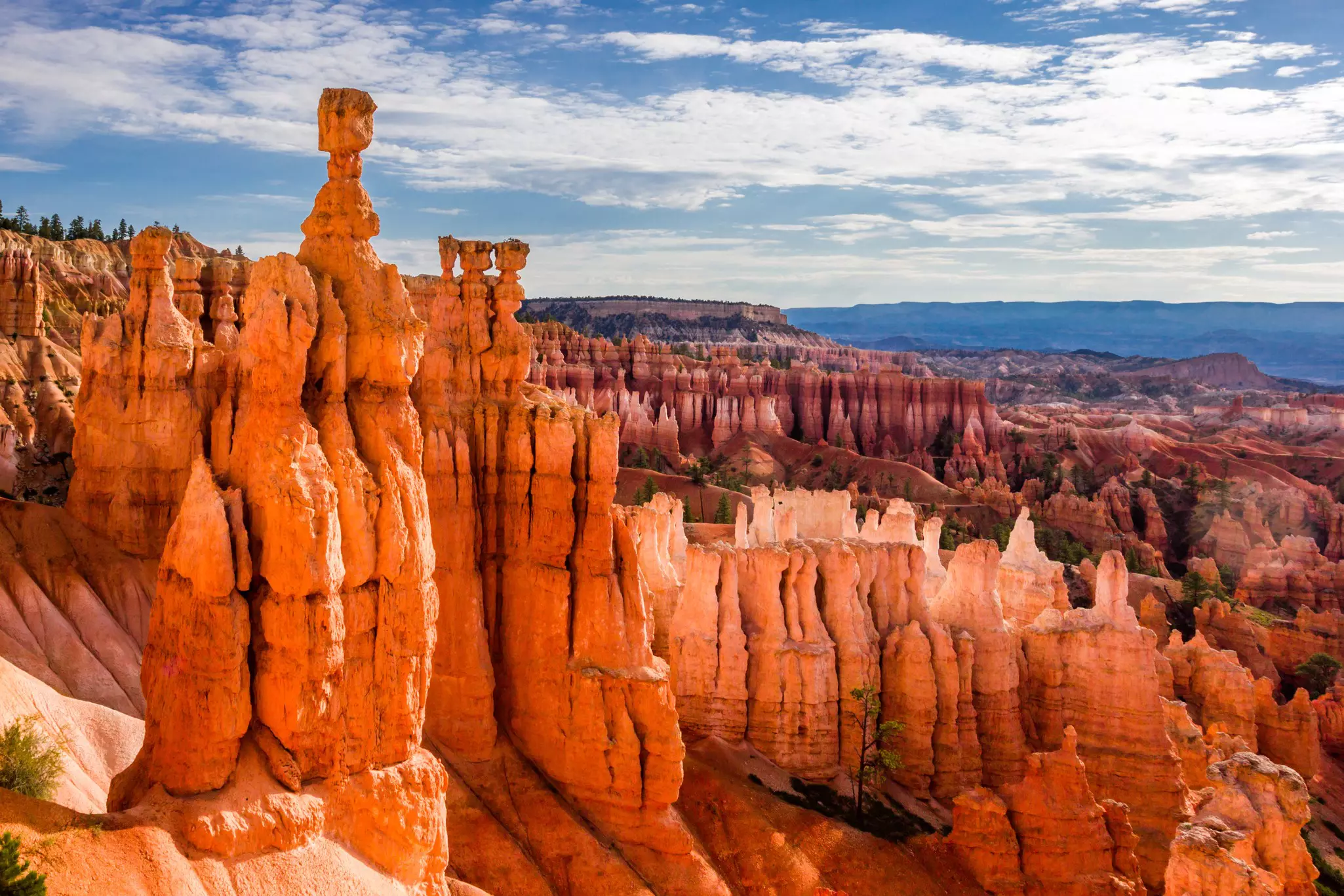 Sandcastle-like pinnacles known as hoodoos, jutted fins, and huge amphitheaters filled with thousands of pastel daggers mark Bryce Canyon National Park © iacomino FRiMAGES / Shutterstock