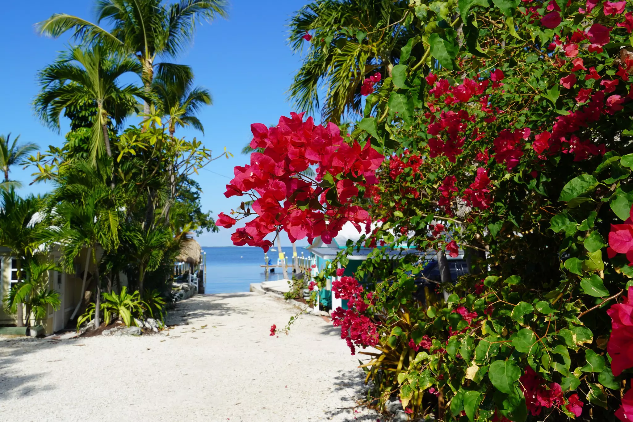 Florida-Keys-Outdoors_snorkeling.jpg