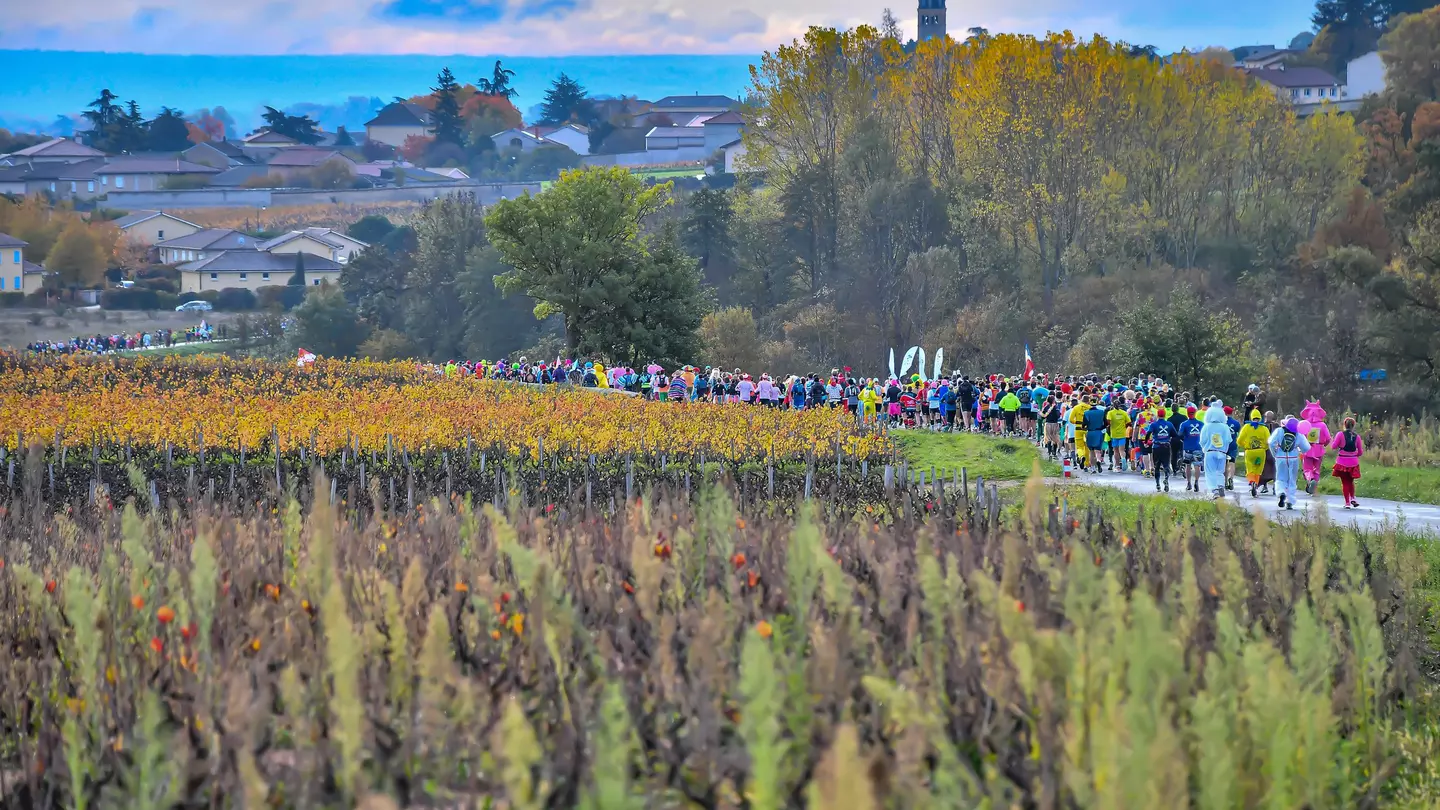 The Beaujolais Wine Marathon is a fun celebration of French scenery, cuisine, wine and culture © Morgan Bove